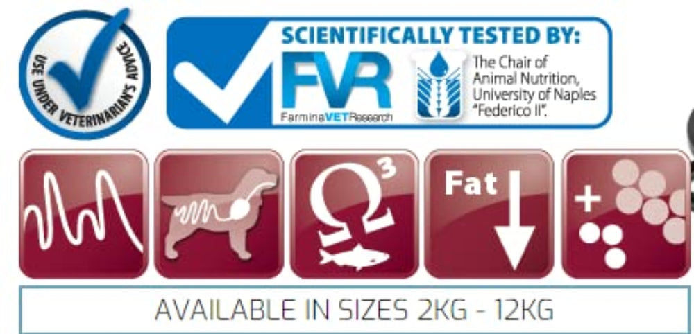 Farmina Vet Life Gastrointestinal Dog Food 2kg