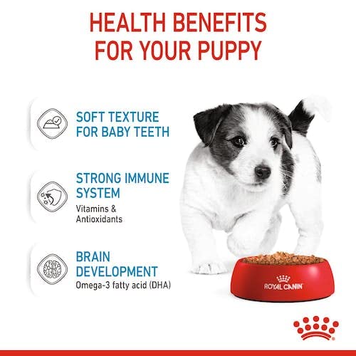 Royal Canin Mini Puppy Wet Gravy Pouch,(Packof12)