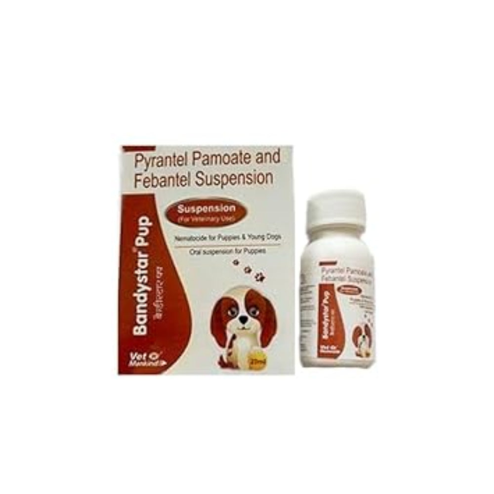 Vet Mankind Bandystar Pup Suspension 20ml