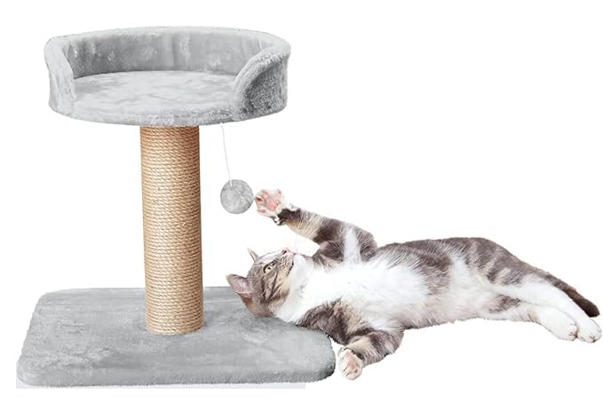 Petstreet Activity Kitten Cat Tree - Hanging Ball | Top Seat | Jute Rope Scratching Post (Height 16 Inch) Grey |