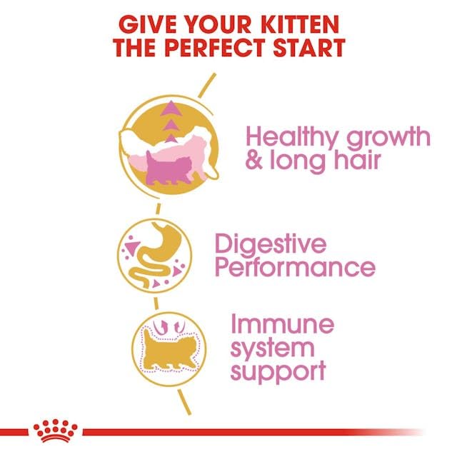 Royal Canin - Persian - kitten