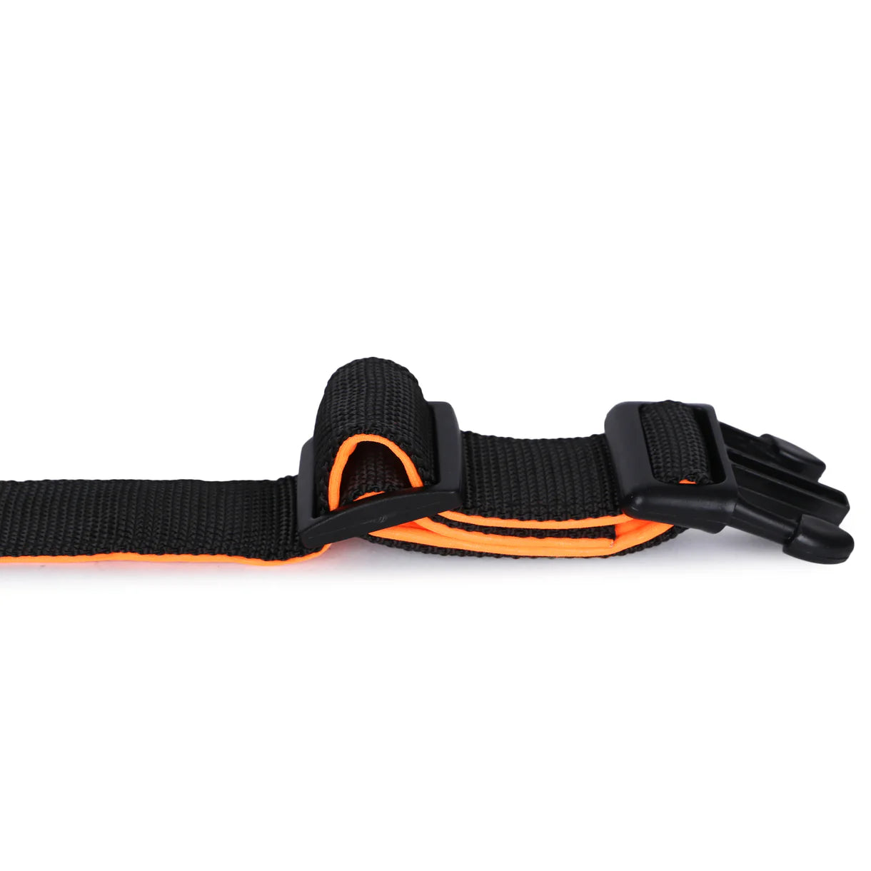 Basil Padded Adjustable Collar for Dogs & Cats