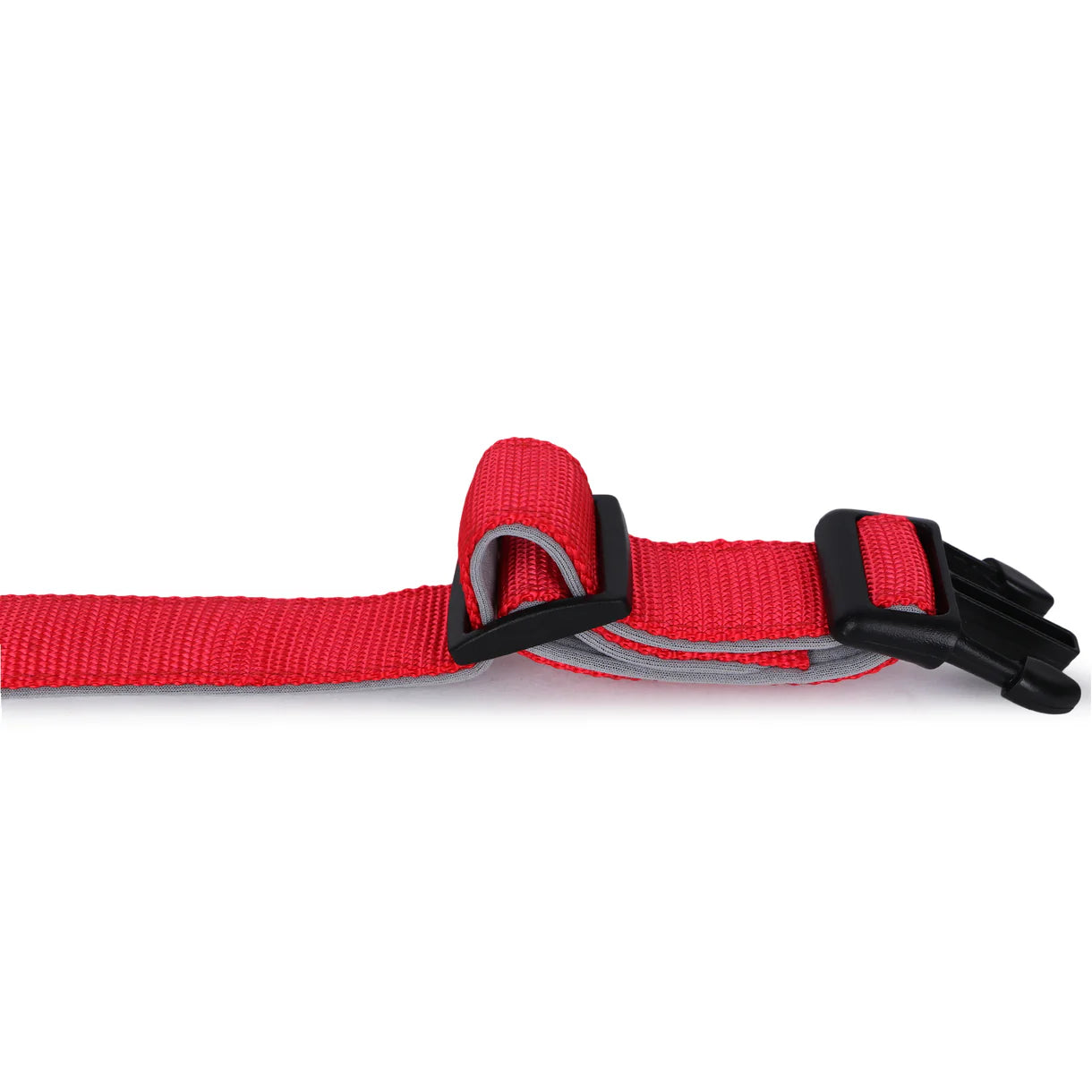Basil Padded Adjustable Collar for Dogs & Cats
