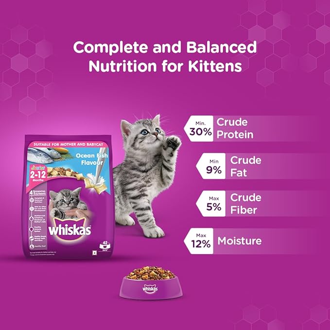 Whiskas Junior Mother Cat & Kitten (2-12 Months) Dry Cat Food, Ocean Fish Flavour