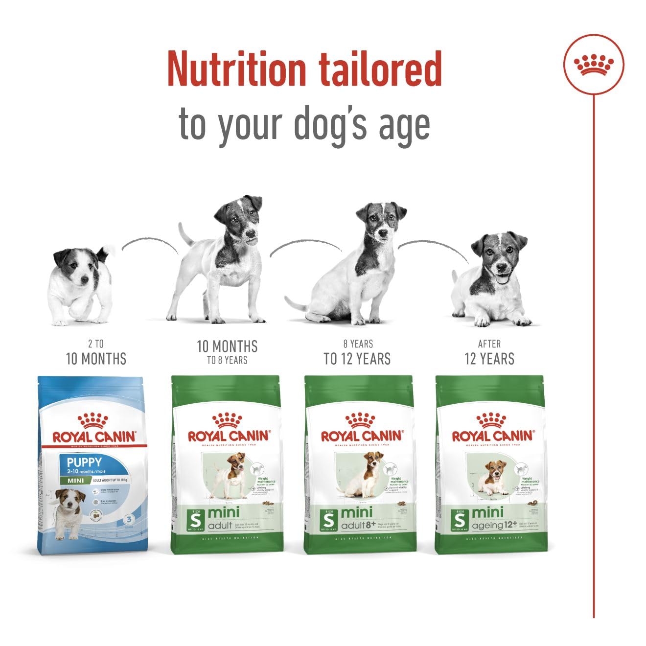 Royal Canin - Mini - Adult