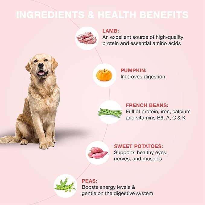 Benny's Bowl Grain Free Lamb & French Beans 300G