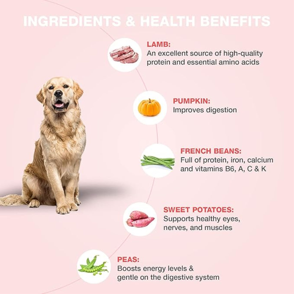 Benny's Bowl Grain Free Lamb & French Beans 300G