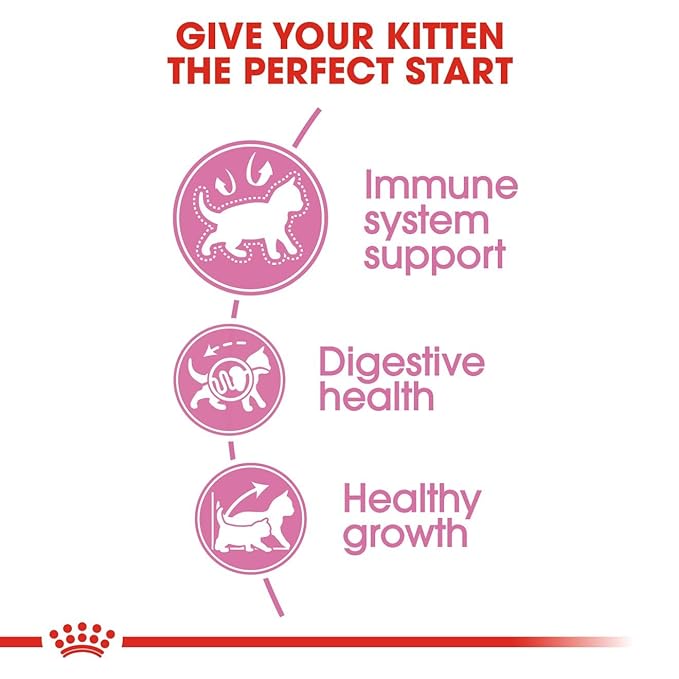 Royal Canin Kitten Second Age Pellet Cat Food, Seafood Flavor, 2 kg