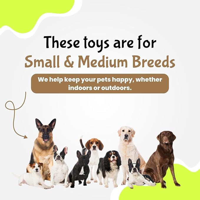 Petaholic Non Toxic Long Lasting Chew Toys For Dogs ( Dual Color Pin Bottel )