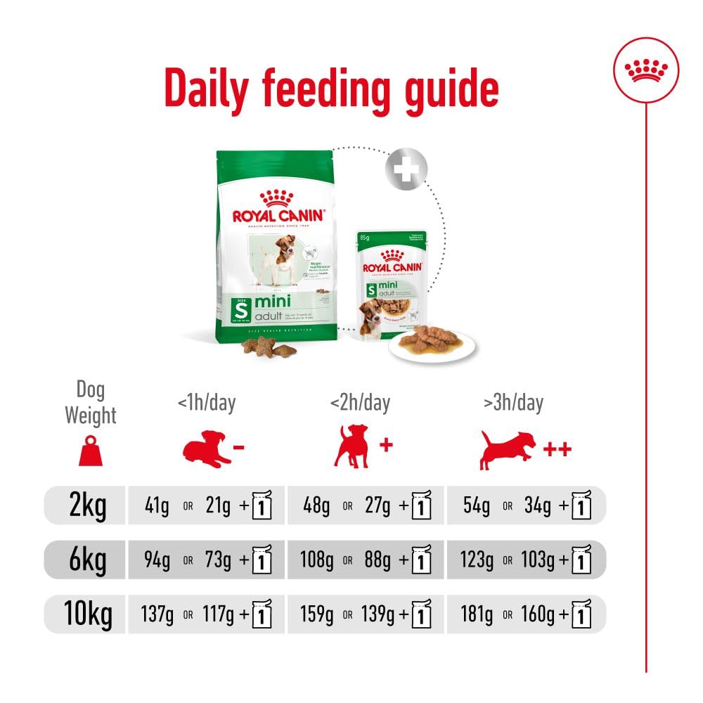 Royal Canin - Mini - Adult
