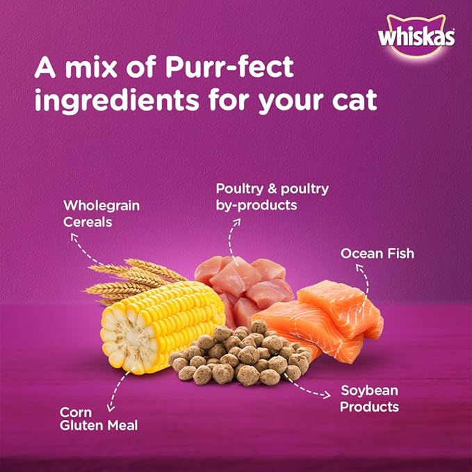 Whiskas Adult (1+ Years) Dry Cat Food, Ocean Fish Flavour
