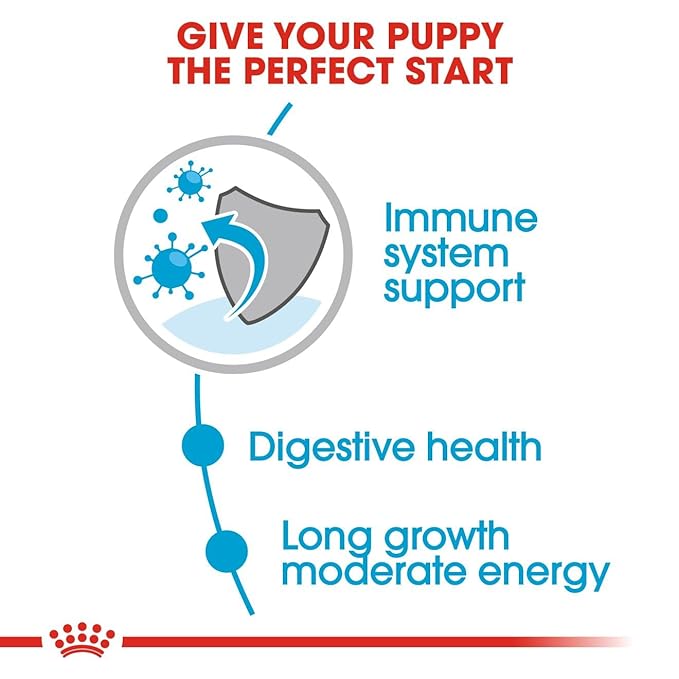Royal Canin - Maxi - Puppy in Gravy, Pack of 10