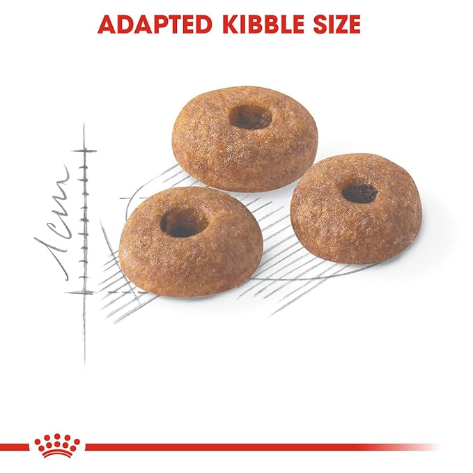 Royal Canin Fit-32