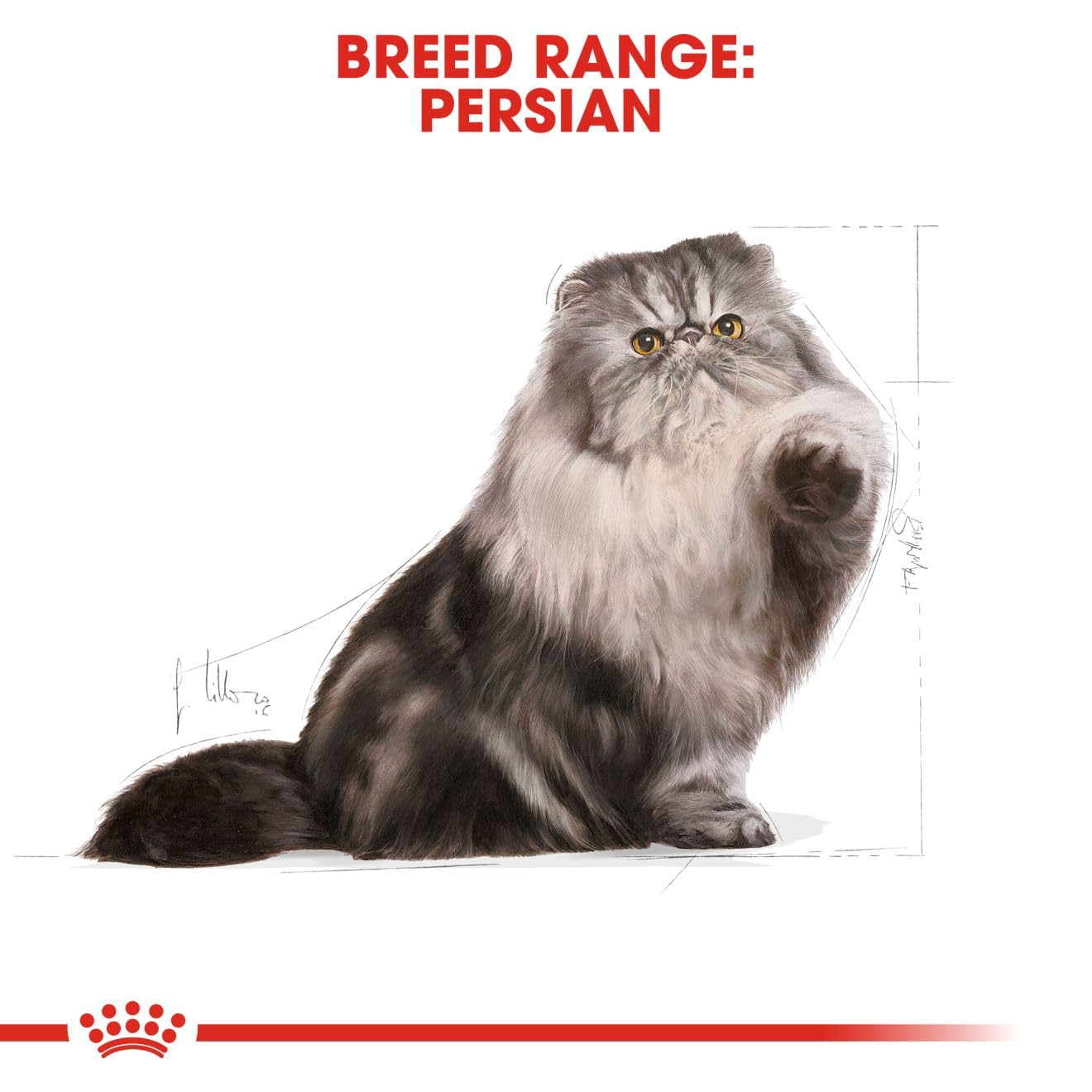 Royal Canin - Persian - Adult