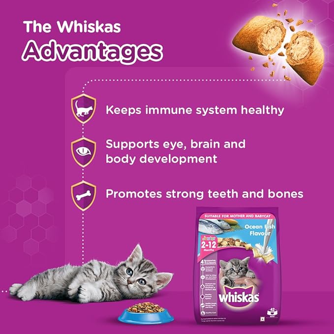 Whiskas Junior Mother Cat & Kitten (2-12 Months) Dry Cat Food, Ocean Fish Flavour