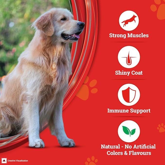 PURINA SUPERCOAT Adult Dry Dog Food, Chicken- 10Kg Pack