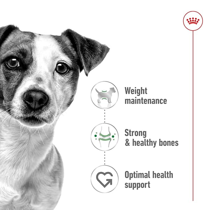 Royal Canin - Mini - Adult