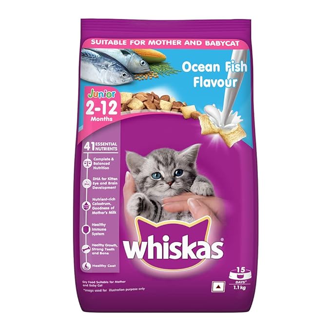 Whiskas Junior Mother Cat & Kitten (2-12 Months) Dry Cat Food, Ocean Fish Flavour