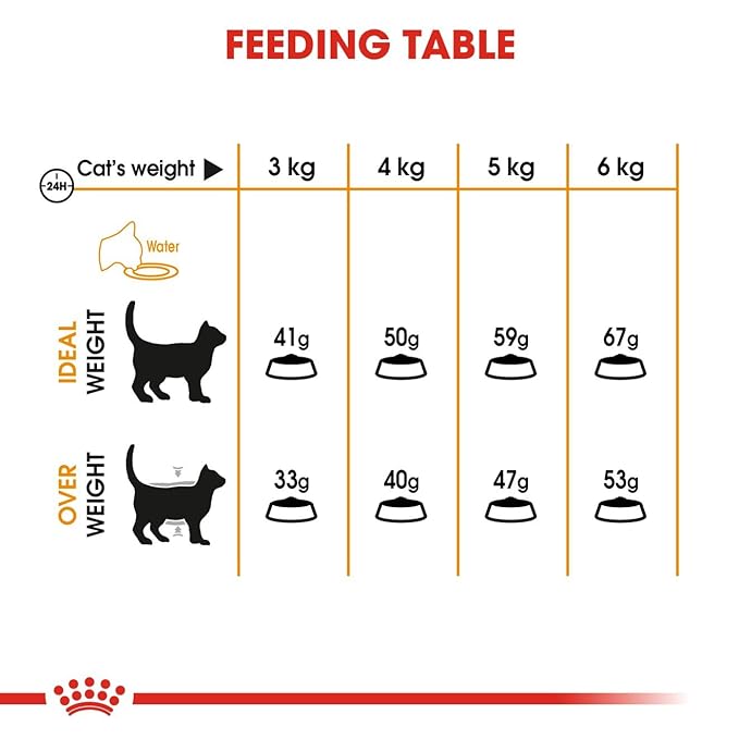 Royal Canin Hair and Skin Adult Cat Pebbles Food, 2 Kg