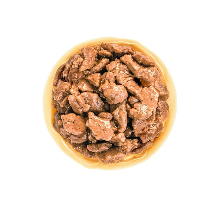 Royal Canin Mini Adult in Gravy 85G