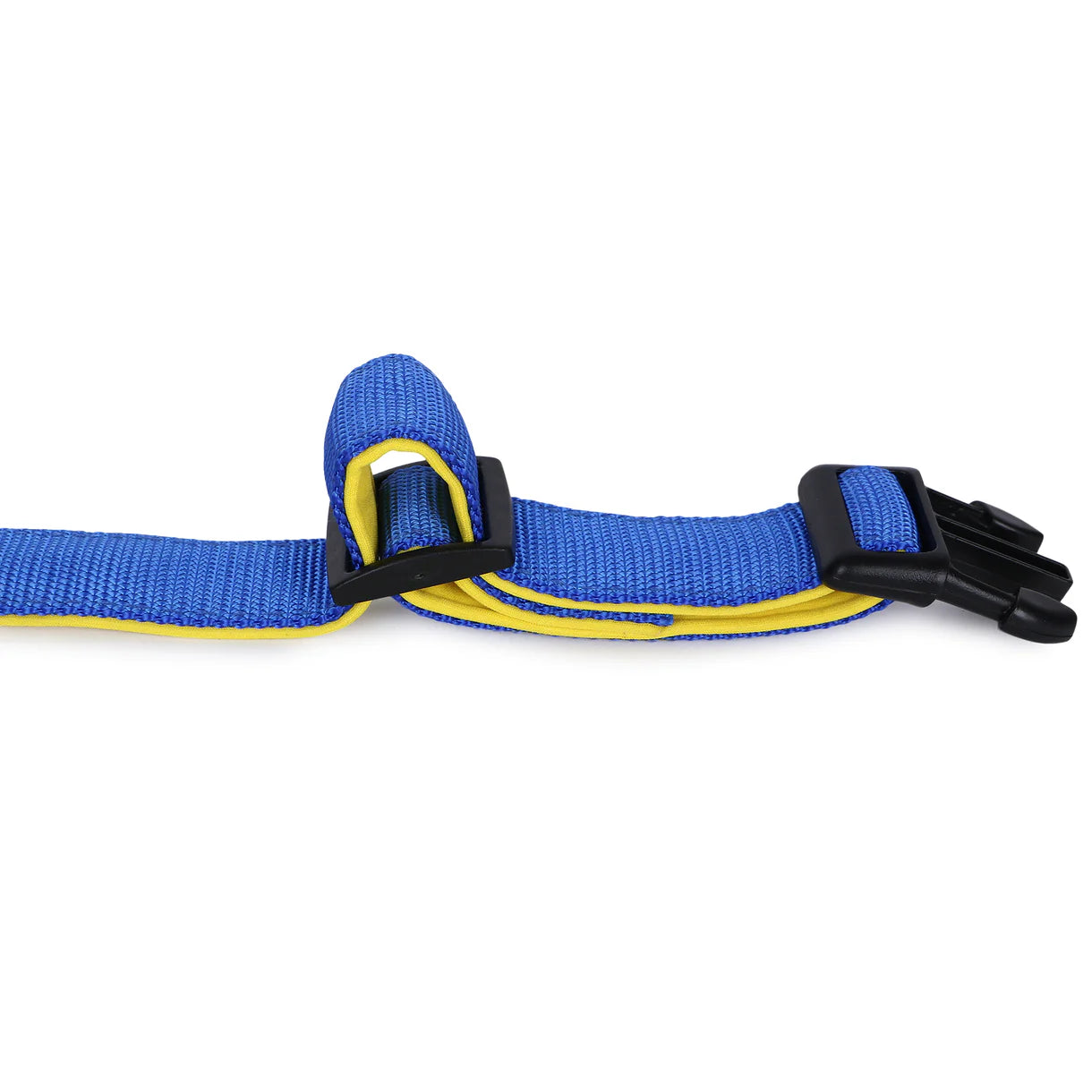 Basil Padded Adjustable Collar for Dogs & Cats