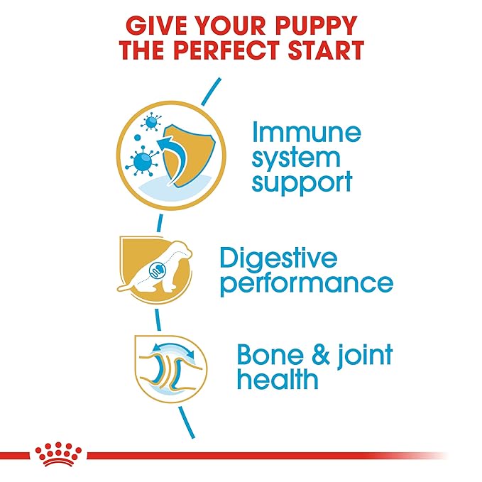 Royal Canin German Shepherd Puppy Dry Pellet Dog Food, Chicken, 3 Kg