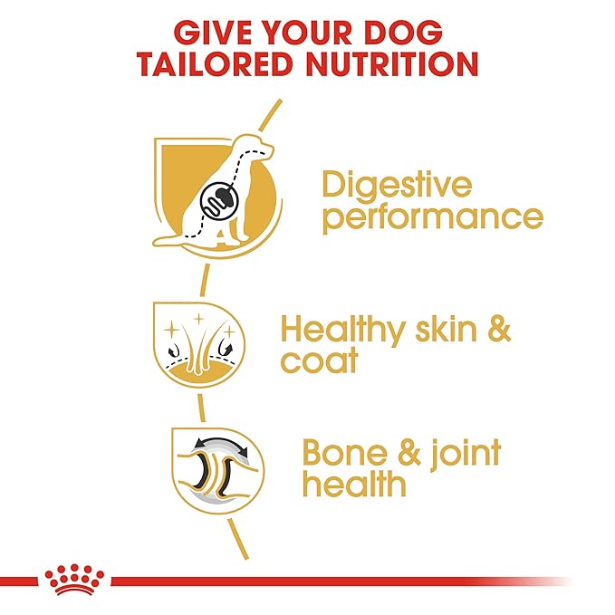 Royal Canin German Shepherd Pellet Adult Dog Food, Meat Flavour, 3 KG