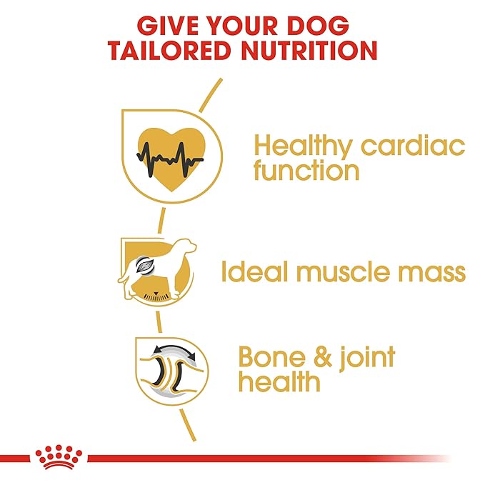 Royal Canin Rottweiler Adult 3 KG