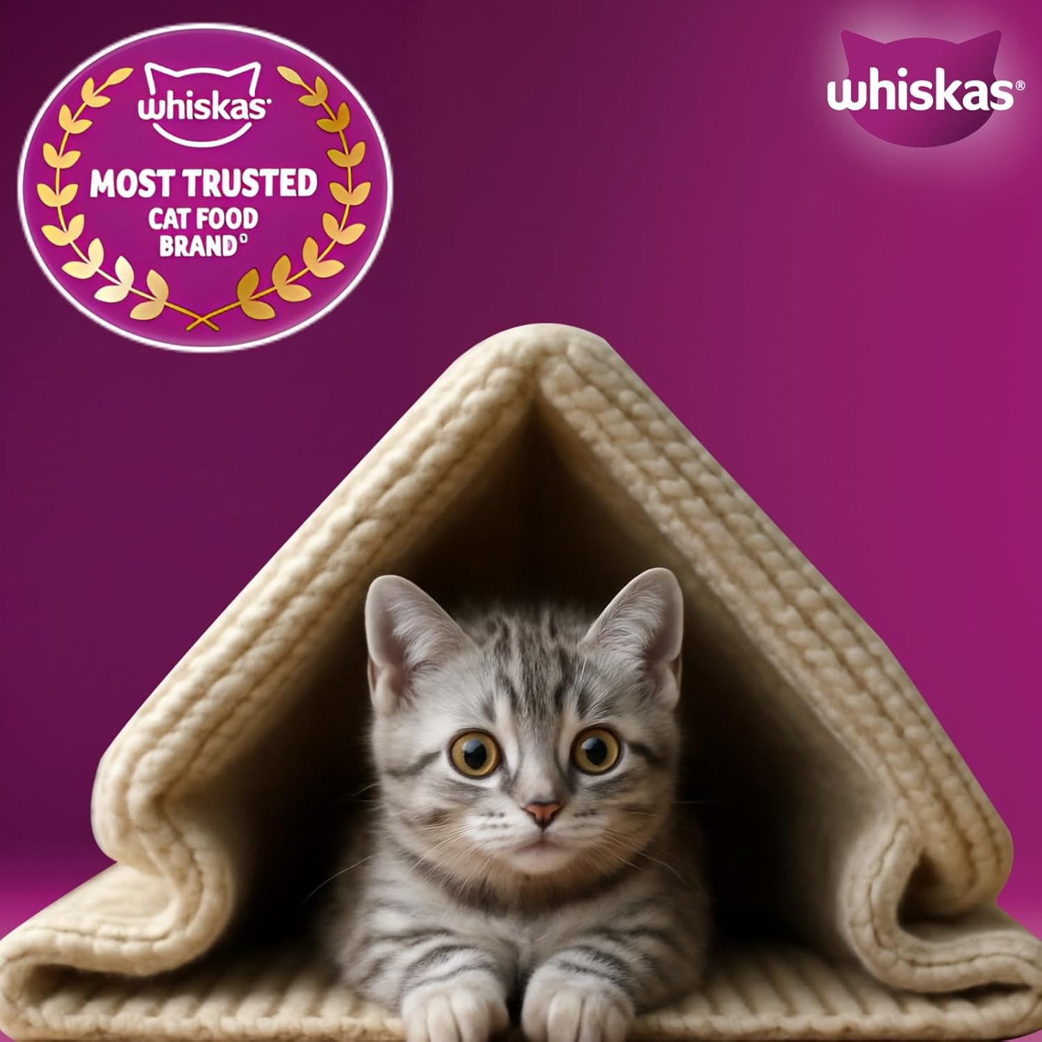 Whiskas Junior Mother Cat & Kitten (2-12 Months) Dry Cat Food, Mackerel Flavour
