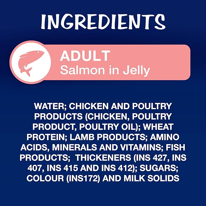 Purina Felix Wet Food for Adult Cats|Salmon Flavour|Pack of 12 Pouches (12 x 85 g)