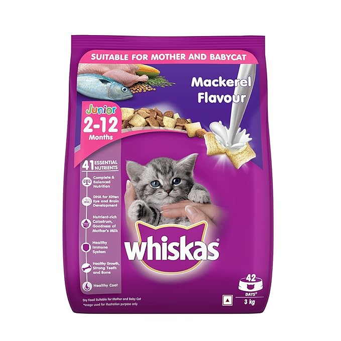 Whiskas Junior Mother Cat & Kitten (2-12 Months) Dry Cat Food, Mackerel Flavour