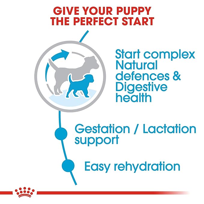 Royal Canin - Mini - Starter