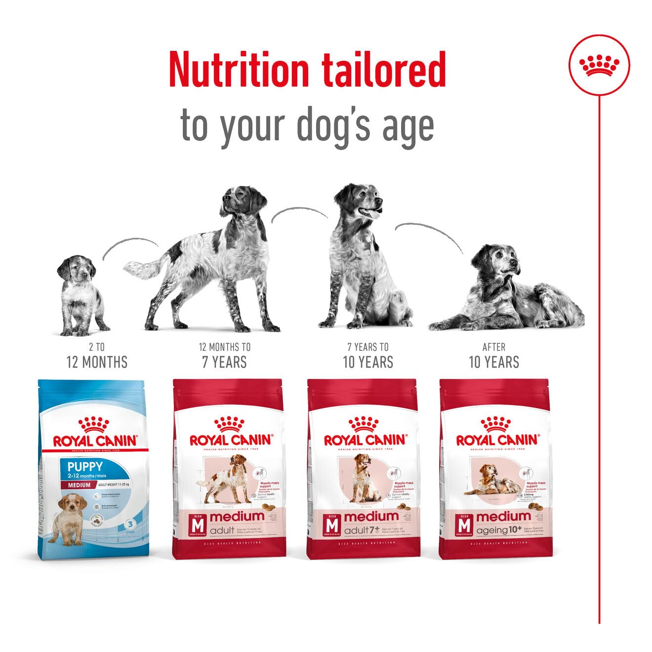 Royal Canin - Medium - Adult