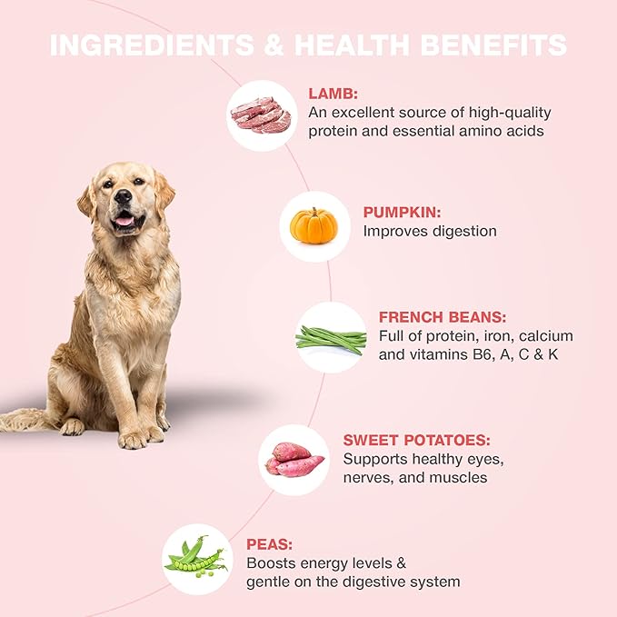 Benny's Bowl Grain Free Chicken & Pumpkin 300G