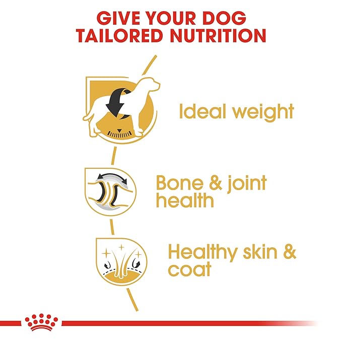 Royal Canin Adult Labrador Meat Flavour Pellet Dog Food, 3 kg