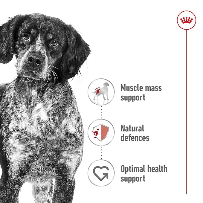 Royal Canin - Medium - Adult