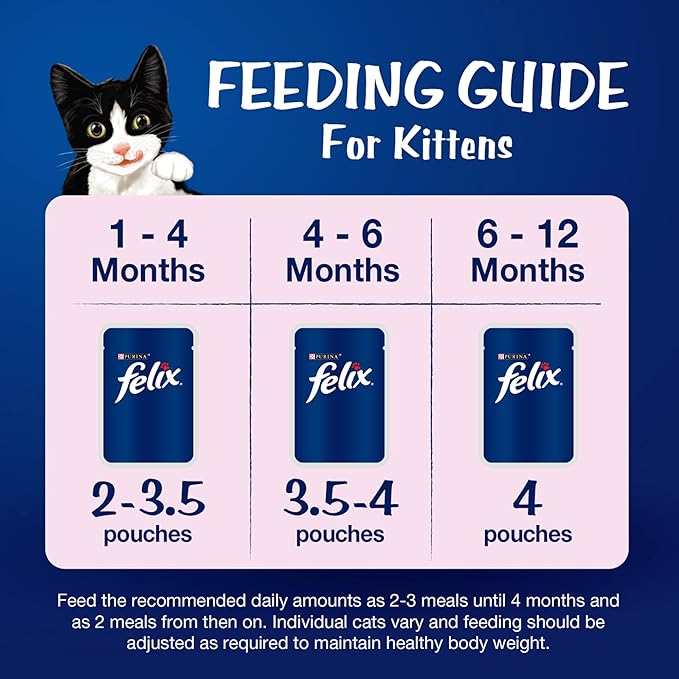 Purina Felix Wet Food for Kittens|Chicken Flavour|Pack of 12 Pouches (12 x 85 g)