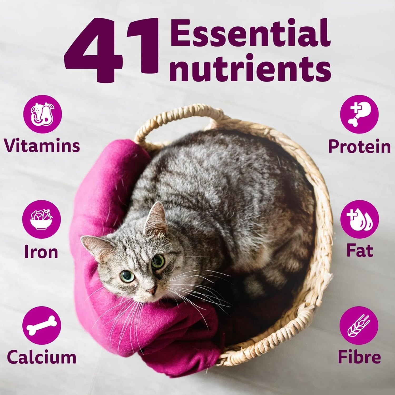 Whiskas Adult (1+ Years) Dry Cat Food, Ocean Fish Flavour