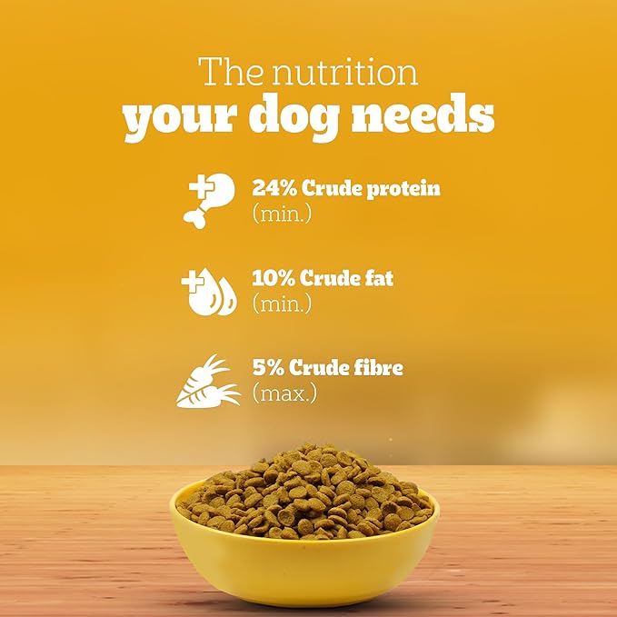 Pedigree Adult - 100% Vegetarian Dog Dry Food