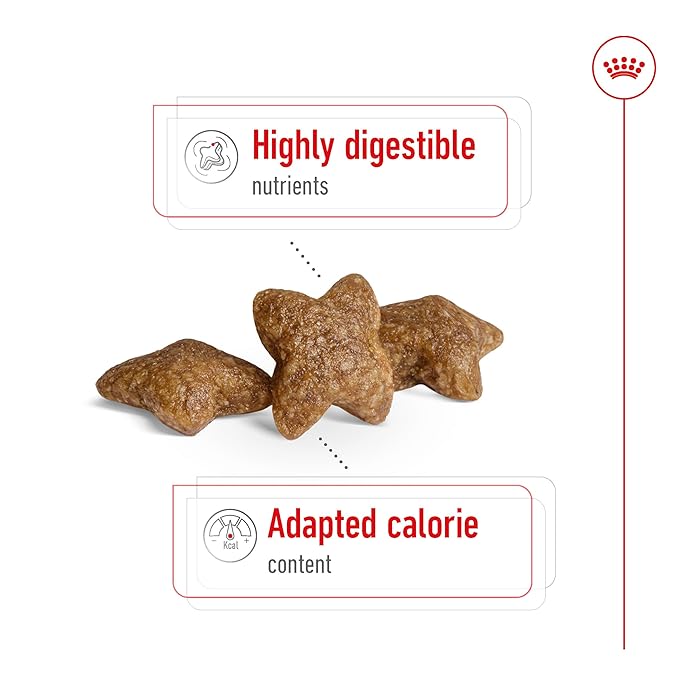 Royal Canin - Mini - Adult