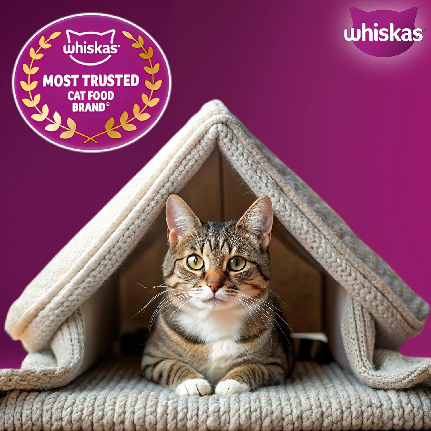 Whiskas Adult (1+ Years) Dry Cat Food, Ocean Fish Flavour