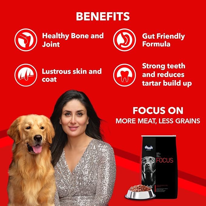 Drools Focus - Adult Dry Dog Food