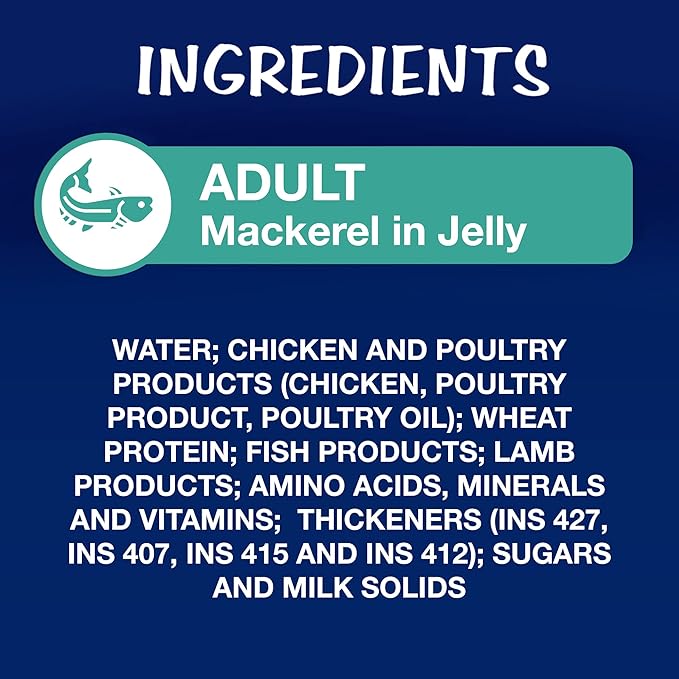 Purina Felix Wet Food for Adult Cats|Mackerel Flavour|Pack of 12 Pouches (12 x 85 g)