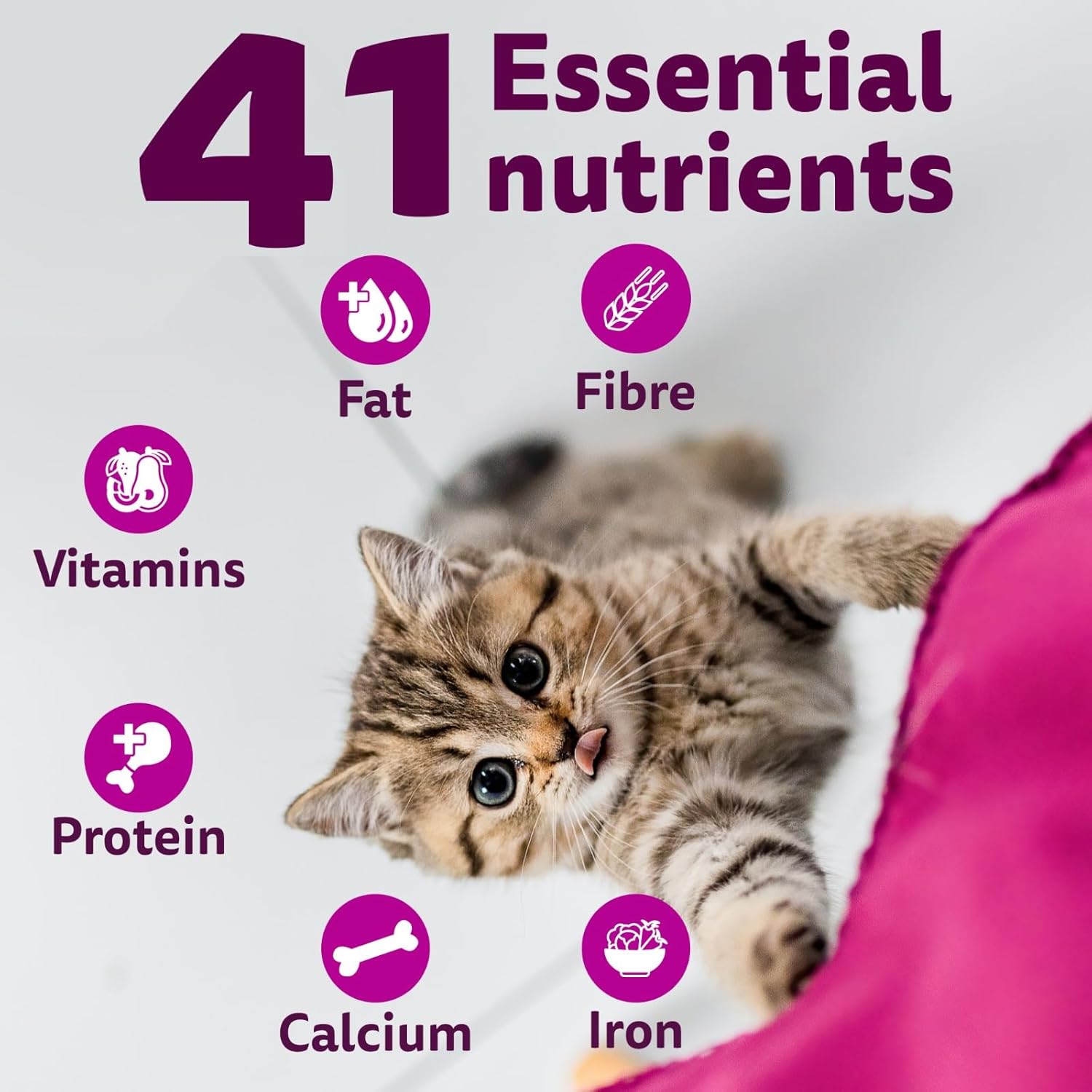 Whiskas Junior Mother Cat & Kitten (2-12 Months) Dry Cat Food, Mackerel Flavour