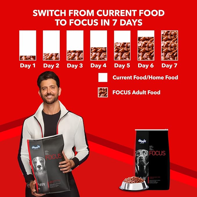Drools Focus - Adult Dry Dog Food