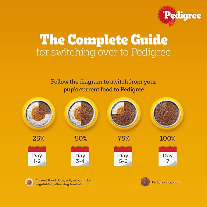 Pedigree Adult Chicken & Liver Gravy For Dog 70g