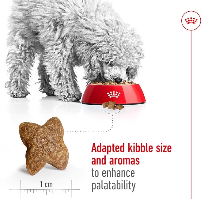 Royal Canin - Mini - Adult
