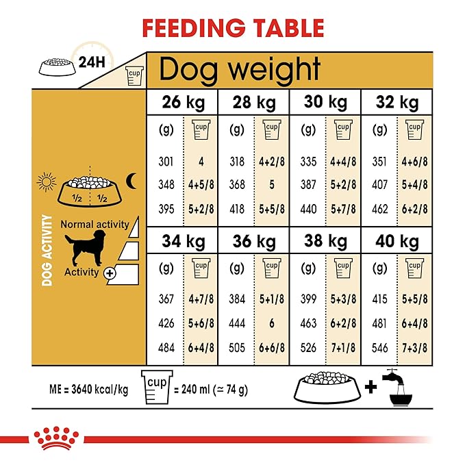 Royal Canin Adult Labrador Meat Flavour Pellet Dog Food, 3 kg