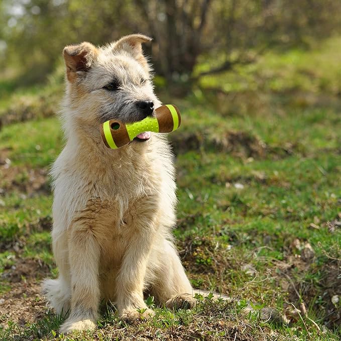 Petaholic Non Toxic Long Lasting Chew Toys For Dogs ( Chew Bone ) |