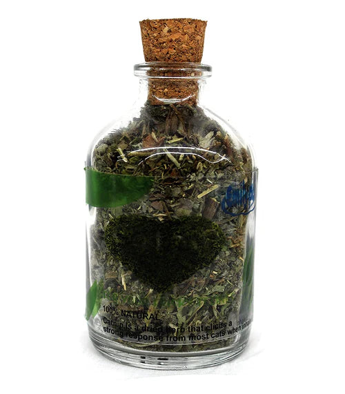 Catnip for Cats and Kittens